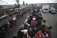 Người di cư Trung Mỹ tại khu vực ngoại ô Mexico City, Mexico, trong hành trình tới Mỹ ngày 10/11/2018. (Ảnh: AFP/TTXVN)
