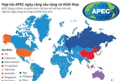 Hợp tác APEC ngày càng sâu rộng và thiết thực