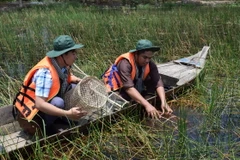 Trải nghiệm một ngày làm ngư dân tại Vườn quốc gia Tràm Chim ở huyện Tam Nông, tỉnh Đồng Tháp. (Ảnh: Chương Đài/TTXVN)