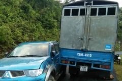 Hiện trường vụ va chạm giữa xe tải mang biển kiểm sát 29M-4515 khi cố tình bỏ chạy đã va quệt với xe công vụ của lực lượng kiểm lâm. (Ảnh: Xuân Tiến/TTXVN)