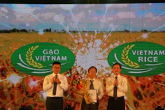 Ban tổ chức trao thưởng cho tác giả thiết kế Logo thương hiệu gạo Việt Nam. (Ảnh: Thanh Bình/TTXVN)