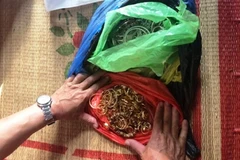 Bắt giữ 2 đối tượng trong vụ phá két sắt lấy đi hơn 200 cây vàng