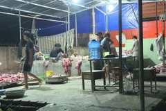 Một cơ sở giết mổ lợn trên sàn nhà dơ bẩn, không đảm bảo vệ sinh. (Ảnh: Lê Xuân/TTXVN)