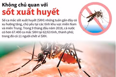 Hơn 67.400 ca mắc sốt xuất huyết trong 9 tháng