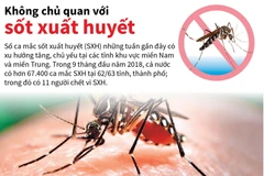 Hơn 67.400 ca mắc sốt xuất huyết trong 9 tháng