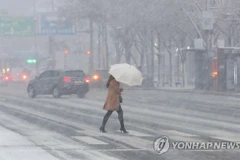 Tuyết rơi dày ở Seoul. (Nguồn: Yonhap)