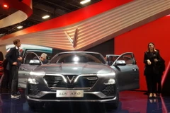 (Ảnh: Toàn Trí/TTXVN)