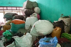 Dược liệu để lộn xộn ngay dưới nền đất ẩm. (Ảnh: An Đăng/TTXVN)