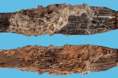 Con dao được làm từ xương động vật. (Nguồn: Sciencenews.org)