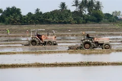 Ảnh minh họa. (Nguồn: TTXVN)