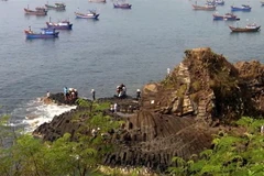 Gành Đá Đĩa nhìn từ trên cao. (Ảnh: Thế Lập/TTXVN)