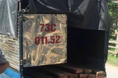 Xe chở gỗ của đối tượng Nguyễn Văn Cường bỏ lại bên đường. (Nguồn: TTXVN)