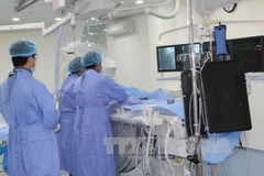 Ảnh minh họa. (Nguồn: TTXVN)