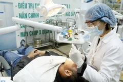 Ảnh minh họa. (Dương Ngọc/ TTXVN)