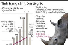 [Infographics] Toàn cảnh tình trạng săn trộm tê giác ở châu Phi