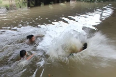 Hà Tĩnh: Hai cháu bé ba tuổi chết đuối do rơi xuống hồ cá