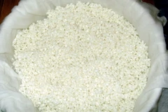 Gạo Nhật Bản trở thành thực phẩm “xa xỉ” mới tại Trung Quốc 