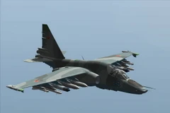 Ukraine: Cộng hòa tự xưng Lugansk sẽ đưa không quân tham chiến