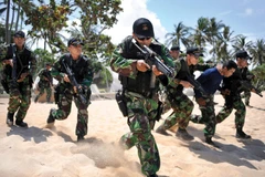 Indonesia thông qua kế hoạch tổ chức lại quân đội trong 5 năm tới 