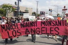 Tuần hành ở hơn 10 nước phản đối cây trồng biến đổi gen của công ty Mỹ