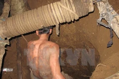 (Ảnh minh họa: Mạnh Hà/TTXVN)