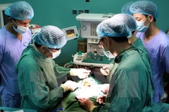 (Ảnh minh họa: Dương Ngọc/TTXVN)