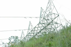 Một cột điện bị FARC đặt thuốc nổ phá hoại. (Ảnh: EFE)