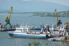 Ảnh minh họa. (Nguồn: wikimedia.org)