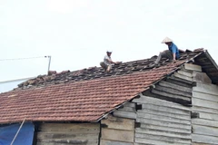 Ảnh minh họa. (Nguồn: TTXVN)