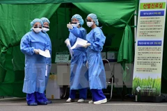 Nhân viên y tế Hàn Quốc làm việc tại trung tâm cách ly dành cho bệnh nhân MERS tại Bệnh viện Trường đại học Konkuk ở Seoul ngày 24/6. (Nguồn: AFP/TTXVN)