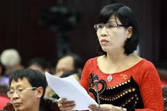 Hoạt động chất vấn và trả lời chất vấn luôn thu hút sự quan tâm của cử tri và người dân. (Ảnh: TTXVN)
