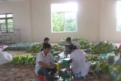 Đóng gói chế phẩm. (Ảnh: Việt Dũng/Vietnam+)