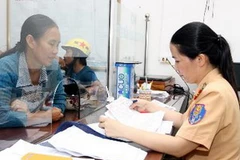 Ảnh minh họa. (Nguồn: TTXVN)