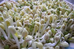 Ảnh minh họa. (Nguồn: Hà Nội mới)