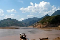 Ảnh minh họa. (Nguồn: Internet)