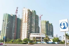 Ảnh minh họa. (Nguồn: Internet)