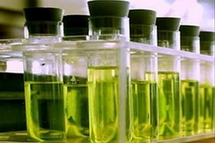 Ảnh minh họa. (Nguồn: Internet)