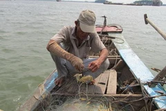 Ảnh minh họa. (Nguồn: Internet)