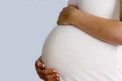 Ảnh minh họa. (Nguồn: Internet)