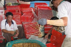 Ảnh minh họa. (Nguồn: Báo Phú Yên)