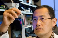 Giáo sư Shinya Yamanaka. (Nguồn: ucsf.edu)