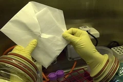 Ảnh minh họa. (Nguồn: Internet)