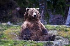 (Nguồn: nydailynews.com)