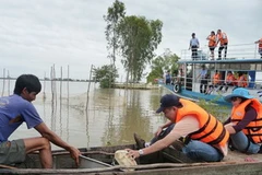 (Nguồn: thesaigontimes.vn)