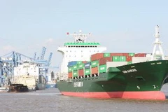 Tàu cập cảng Cái Mép bốc dỡ hàng hóa. (Ảnh: Hà Thái/TTXVN)