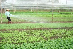 (Nguồn: kinhtenongthon.com.vn)