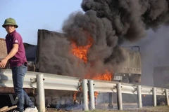 Ảnh minh họa (Nguồn: Vietnam+) 