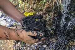 Lớp dầu dày bên bờ suối Khại. Ảnh được chụp trưa 14/10, ngay sau thông tin về việc thu dọn cơ bản sự cố được công bố tại Bộ Tài nguyên và Môi trường. (Ảnh: Sơn Bách/Vietnam+) 