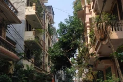 Khu nhà nơi sự việc đau lòng xảy ra. (Ảnh: Sơn Bách/Vietnam+)