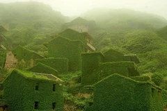 Những ngôi nhà này thuộc về ngư dân địa phương. Tuy nhiên hầu hết những người sống ở đây đã rời khỏi đảo để chuyển tới khu vực thành phố trung tâm. (Nguồn: Qingjian)